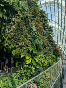 GardensByTheBay2025-255 image from Singapore's Gardens by the Bay - spring 2025