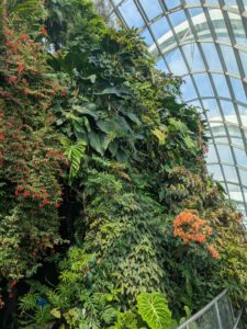 GardensByTheBay2025-256 image from Singapore's Gardens by the Bay - spring 2025