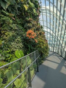 GardensByTheBay2025-257 image from Singapore's Gardens by the Bay - spring 2025