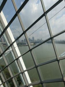 GardensByTheBay2025-258 image from Singapore's Gardens by the Bay - spring 2025