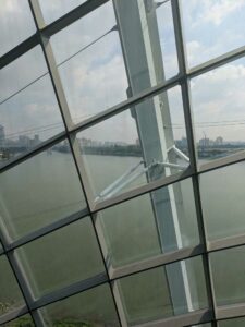 GardensByTheBay2025-259 image from Singapore's Gardens by the Bay - spring 2025