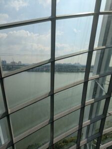 GardensByTheBay2025-260 image from Singapore's Gardens by the Bay - spring 2025