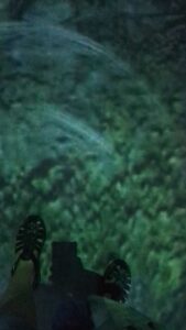 GardensByTheBay2025-262.TS image from Singapore's Gardens by the Bay - spring 2025