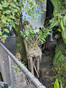 GardensByTheBay2025-263 image from Singapore's Gardens by the Bay - spring 2025