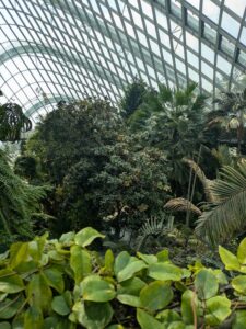 GardensByTheBay2025-264 image from Singapore's Gardens by the Bay - spring 2025