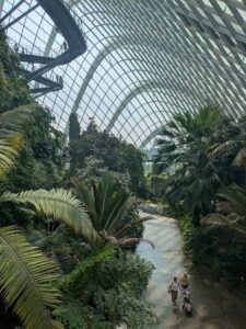 GardensByTheBay2025-266 image from Singapore's Gardens by the Bay - spring 2025