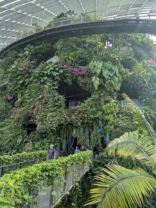 GardensByTheBay2025-267 image from Singapore's Gardens by the Bay - spring 2025