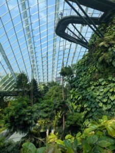 GardensByTheBay2025-268 image from Singapore's Gardens by the Bay - spring 2025