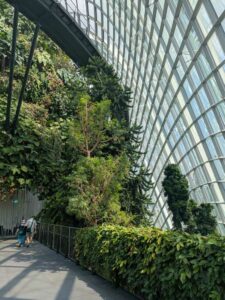 GardensByTheBay2025-269 image from Singapore's Gardens by the Bay - spring 2025