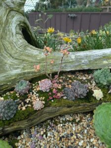 GardensByTheBay2025-27 image from Singapore's Gardens by the Bay - spring 2025