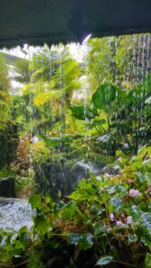 GardensByTheBay2025-271.TS image from Singapore's Gardens by the Bay - spring 2025