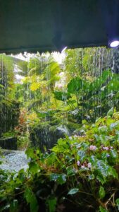 GardensByTheBay2025-272 image from Singapore's Gardens by the Bay - spring 2025