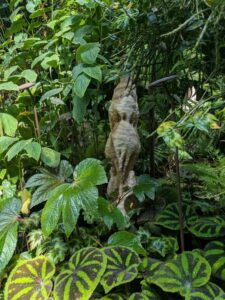 GardensByTheBay2025-274 image from Singapore's Gardens by the Bay - spring 2025