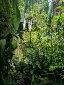 GardensByTheBay2025-276 image from Singapore's Gardens by the Bay - spring 2025