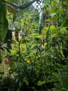 GardensByTheBay2025-277 image from Singapore's Gardens by the Bay - spring 2025