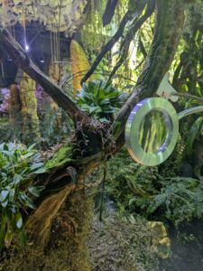 GardensByTheBay2025-278 image from Singapore's Gardens by the Bay - spring 2025