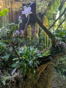 GardensByTheBay2025-279 image from Singapore's Gardens by the Bay - spring 2025