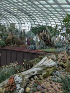 GardensByTheBay2025-28 image from Singapore's Gardens by the Bay - spring 2025