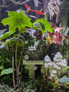 GardensByTheBay2025-281 image from Singapore's Gardens by the Bay - spring 2025