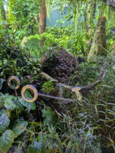 GardensByTheBay2025-284 image from Singapore's Gardens by the Bay - spring 2025