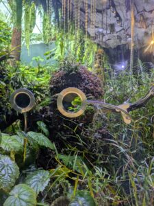 GardensByTheBay2025-285 image from Singapore's Gardens by the Bay - spring 2025