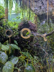 GardensByTheBay2025-286 image from Singapore's Gardens by the Bay - spring 2025