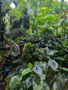 GardensByTheBay2025-287 image from Singapore's Gardens by the Bay - spring 2025