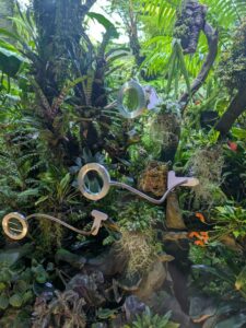 GardensByTheBay2025-289 image from Singapore's Gardens by the Bay - spring 2025