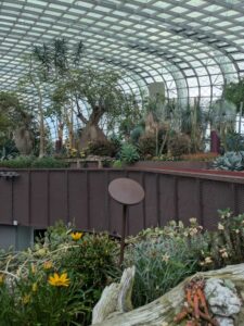 GardensByTheBay2025-29 image from Singapore's Gardens by the Bay - spring 2025