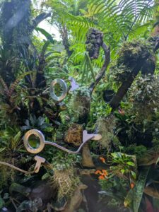 GardensByTheBay2025-290 image from Singapore's Gardens by the Bay - spring 2025