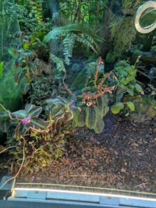 GardensByTheBay2025-291 image from Singapore's Gardens by the Bay - spring 2025