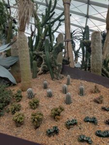 GardensByTheBay2025-30 image from Singapore's Gardens by the Bay - spring 2025