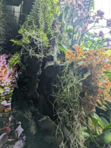 GardensByTheBay2025-302 image from Singapore's Gardens by the Bay - spring 2025