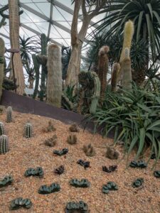 GardensByTheBay2025-31 image from Singapore's Gardens by the Bay - spring 2025