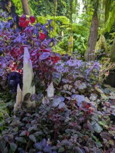 GardensByTheBay2025-310 image from Singapore's Gardens by the Bay - spring 2025