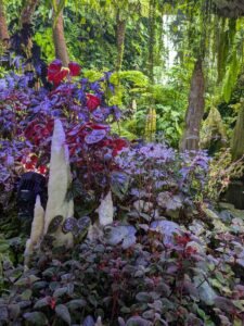 GardensByTheBay2025-311 image from Singapore's Gardens by the Bay - spring 2025