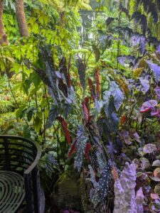 GardensByTheBay2025-312 image from Singapore's Gardens by the Bay - spring 2025