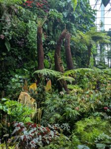 GardensByTheBay2025-313 image from Singapore's Gardens by the Bay - spring 2025