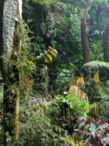 GardensByTheBay2025-314 image from Singapore's Gardens by the Bay - spring 2025