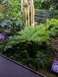 GardensByTheBay2025-317 image from Singapore's Gardens by the Bay - spring 2025