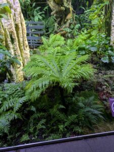 GardensByTheBay2025-318 image from Singapore's Gardens by the Bay - spring 2025