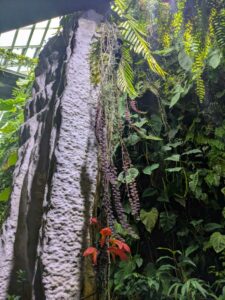 GardensByTheBay2025-320 image from Singapore's Gardens by the Bay - spring 2025