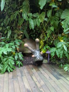 GardensByTheBay2025-321 image from Singapore's Gardens by the Bay - spring 2025