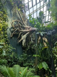 GardensByTheBay2025-328 image from Singapore's Gardens by the Bay - spring 2025