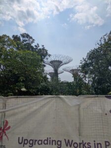 GardensByTheBay2025-334 image from Singapore's Gardens by the Bay - spring 2025