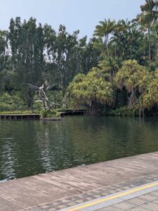 GardensByTheBay2025-335 image from Singapore's Gardens by the Bay - spring 2025