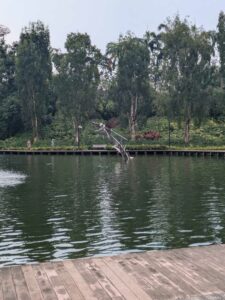 GardensByTheBay2025-336 image from Singapore's Gardens by the Bay - spring 2025