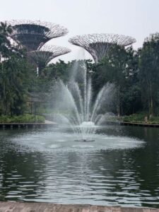 GardensByTheBay2025-337 image from Singapore's Gardens by the Bay - spring 2025