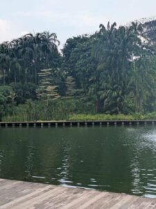 GardensByTheBay2025-338 image from Singapore's Gardens by the Bay - spring 2025