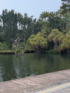 GardensByTheBay2025-339 image from Singapore's Gardens by the Bay - spring 2025